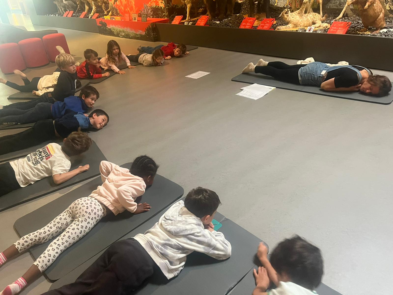 Visite au musée et yoga des animaux