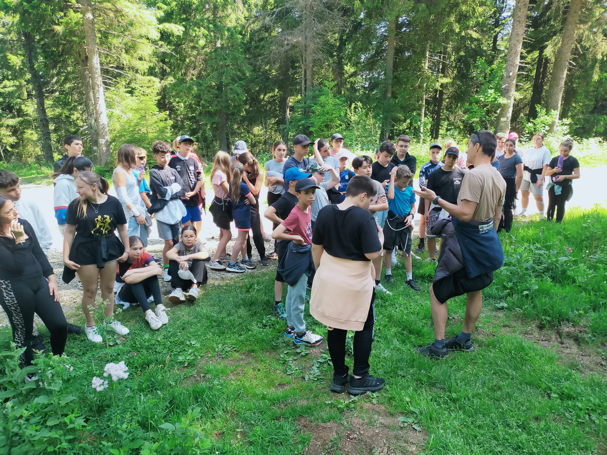 Accrobranche et randonnée pour la fin d'année