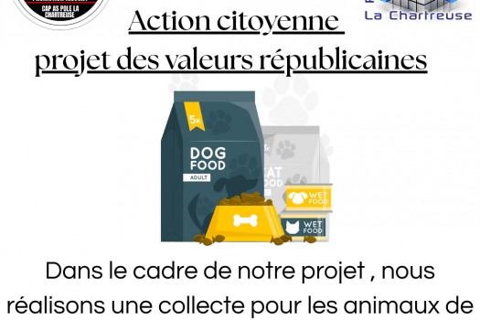 Collecte de croquette pour la SPA pour les CAP AS