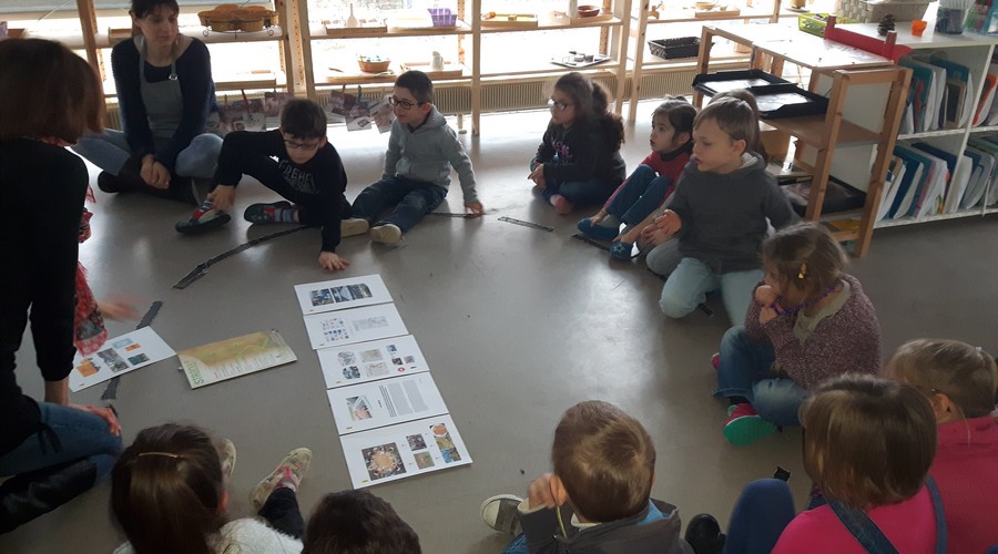 pressmaternelle5