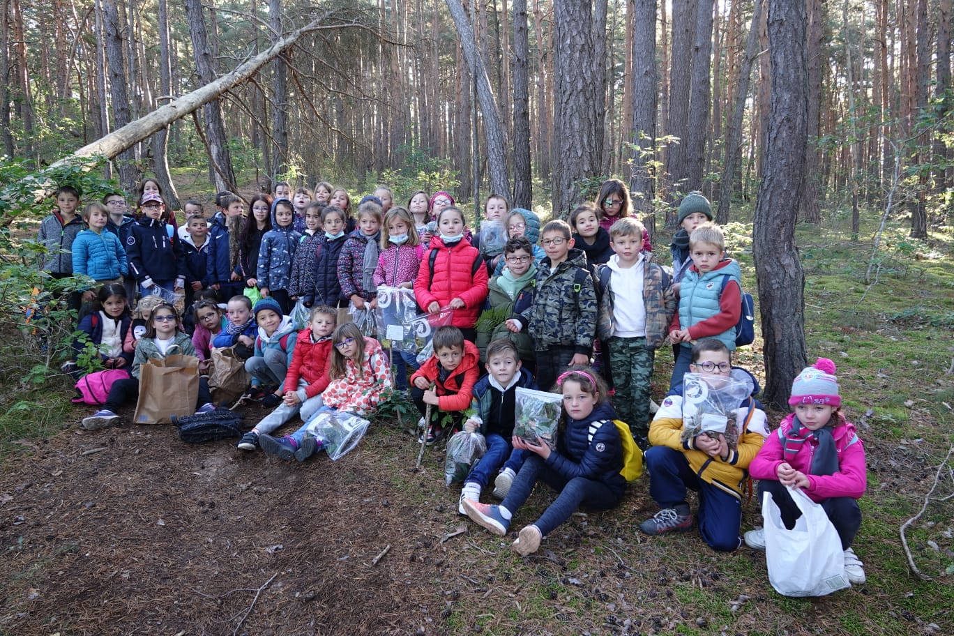 Promenons-nous dans les bois...