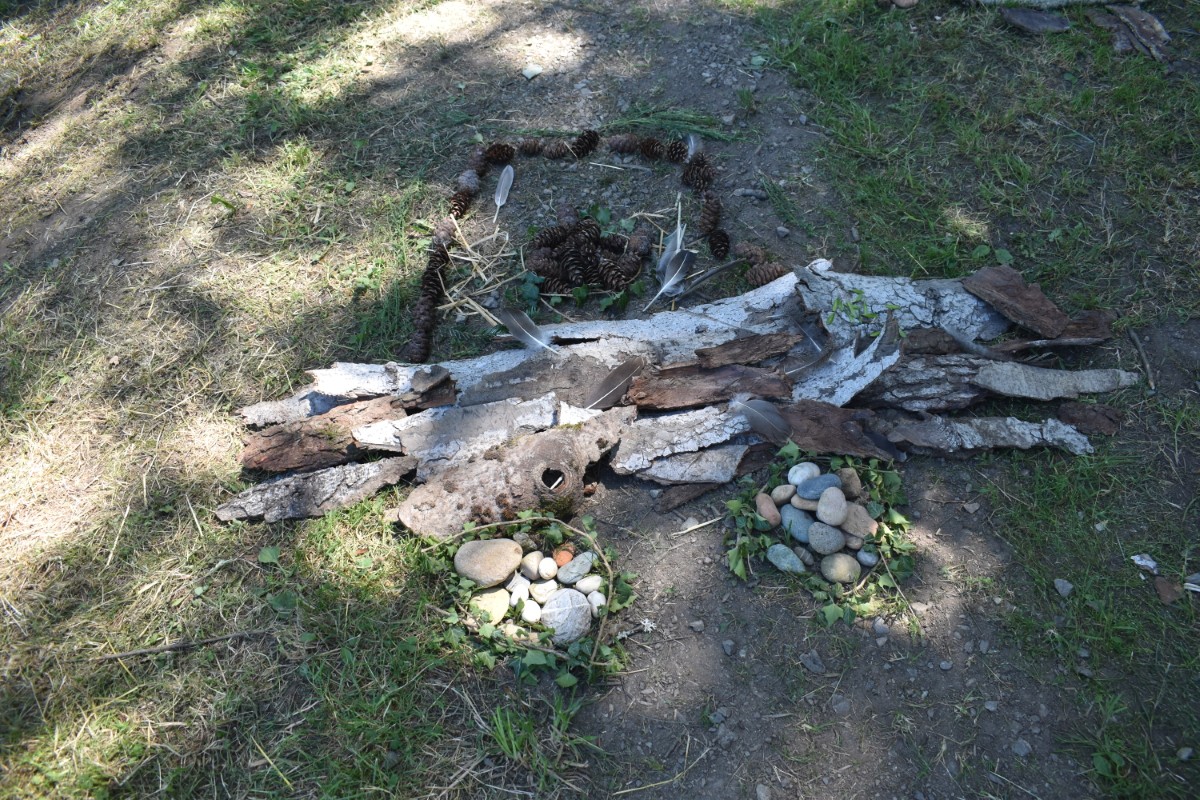 arboretum de Charvols 2025