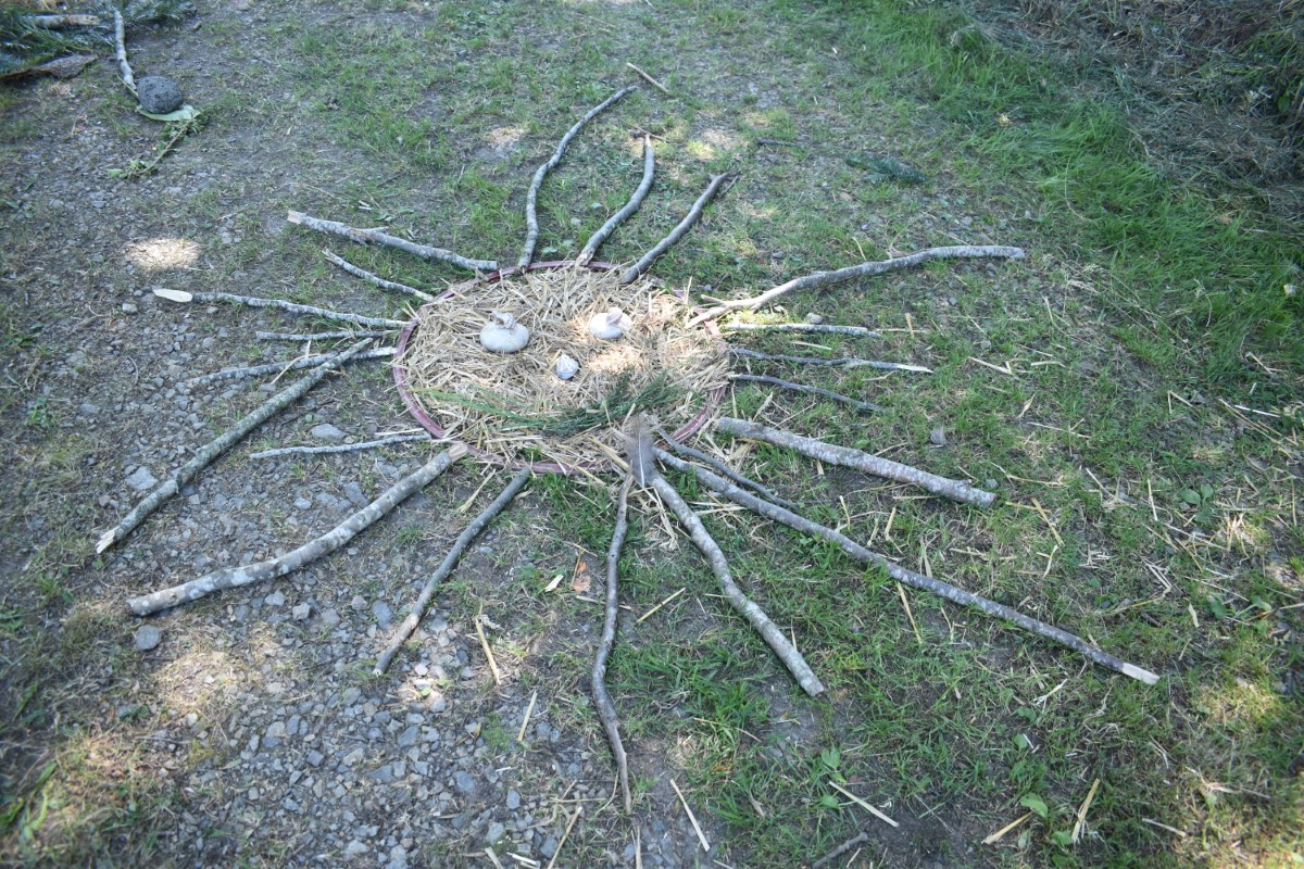 arboretum de Charvols 2025