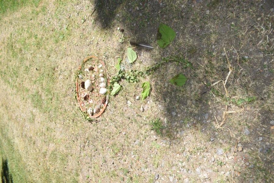 arboretum de Charvols 2025