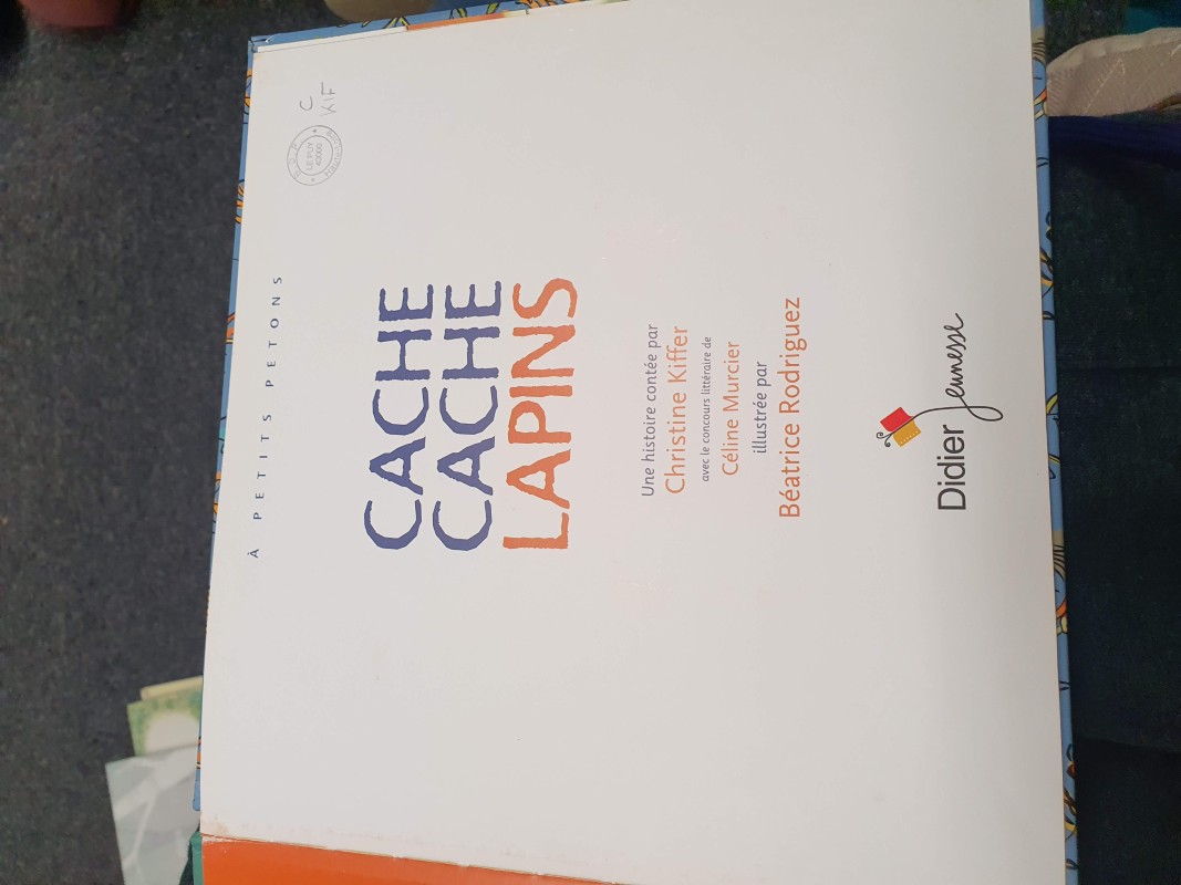 Sortie à la médiathèque : découverte de la littérature japonaise