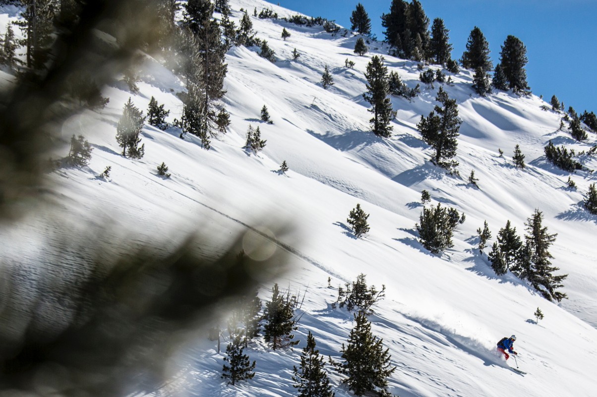Les 5èmes au ski