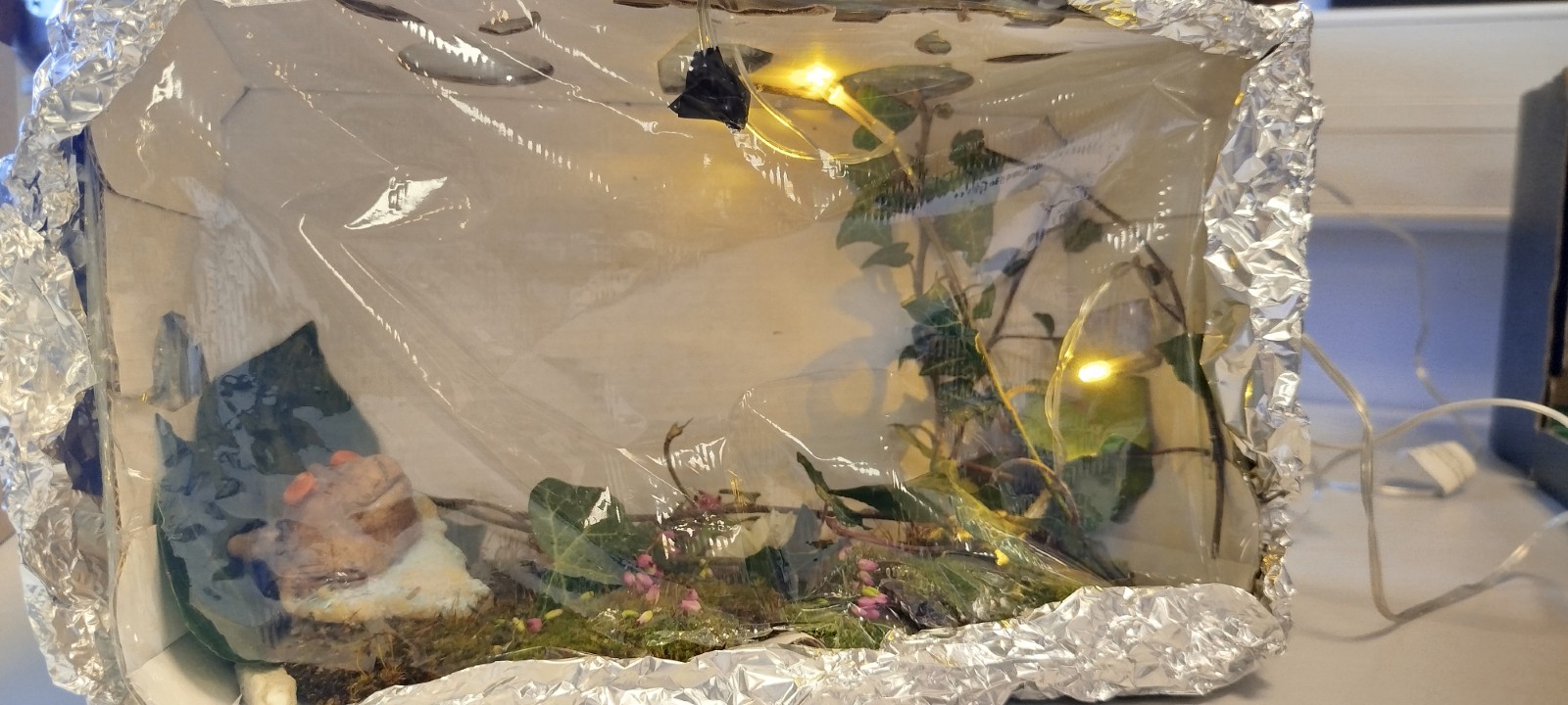 Projet bête du gévaudan