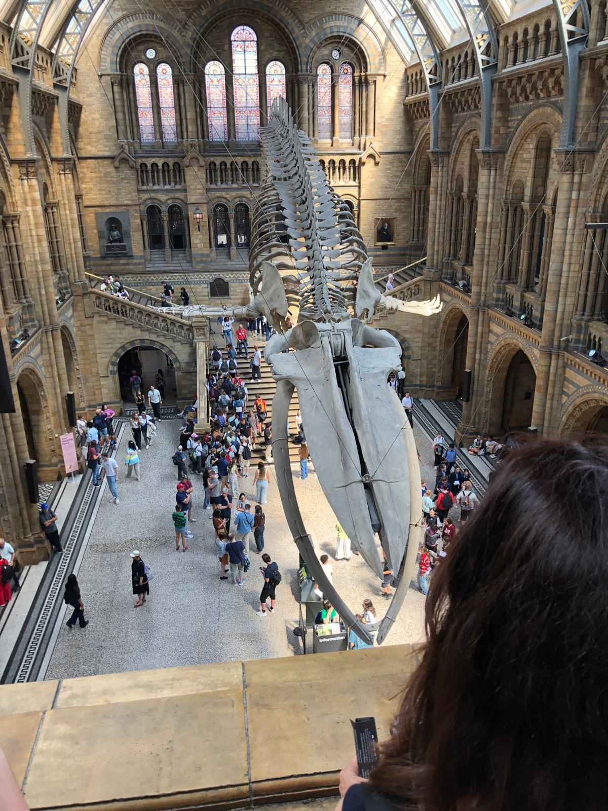 IMG-20260616-WA0003