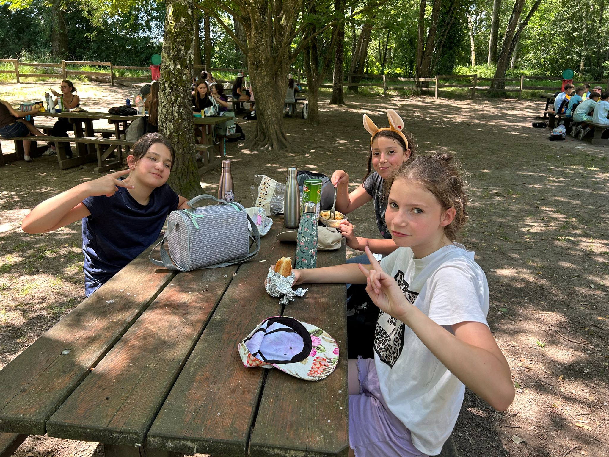 sortie parc walibi 2026