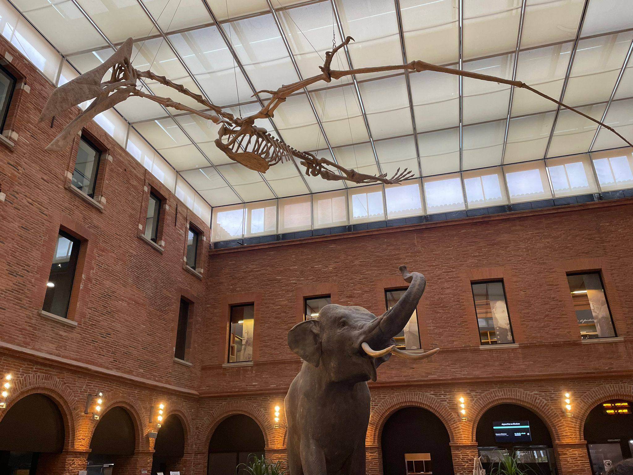 Jour 3 - Séjour Pédagogique à Toulouse 2026