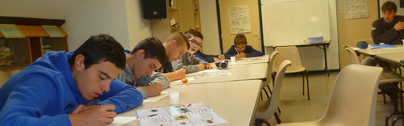 Enseignement adapté accueil