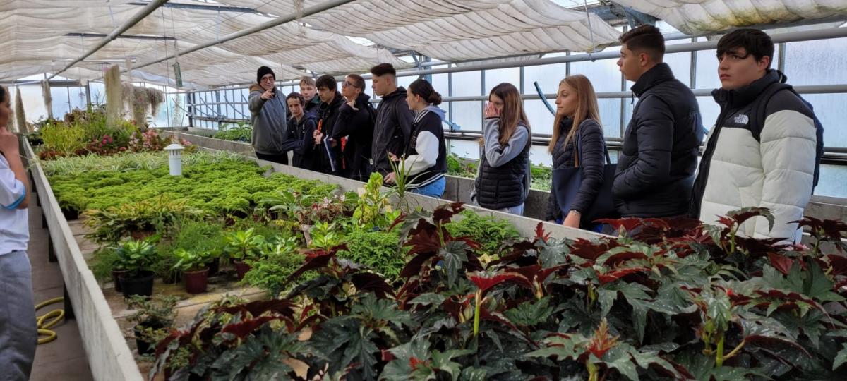 Visite des serres pour les 3ème SEGPA