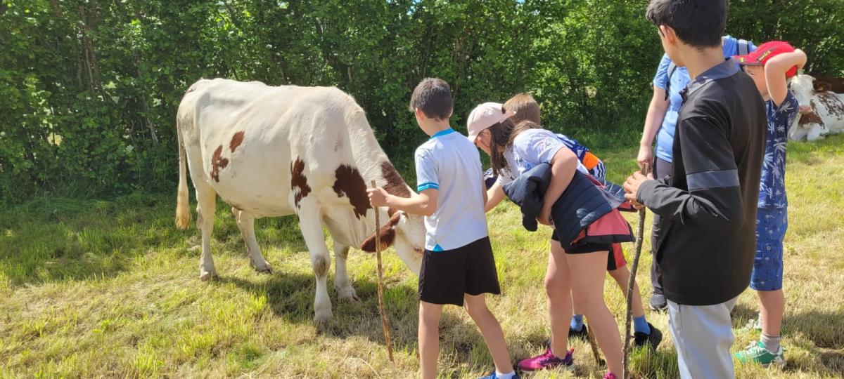A la ferme !