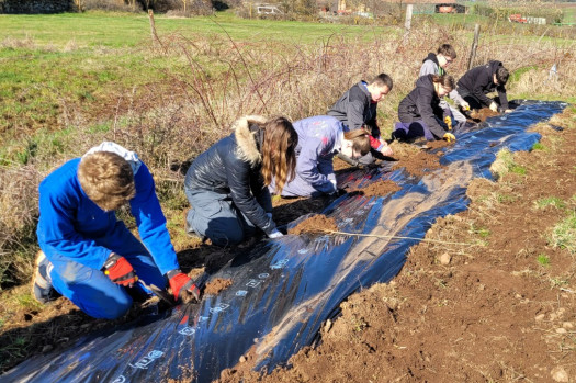 Les élèves de 3ème 1 plantent une haie à Solignac-sur-Loire !