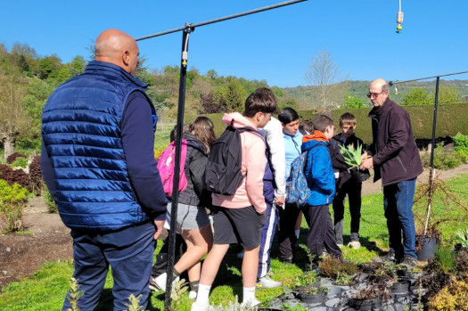 Visite des serres du Monteil