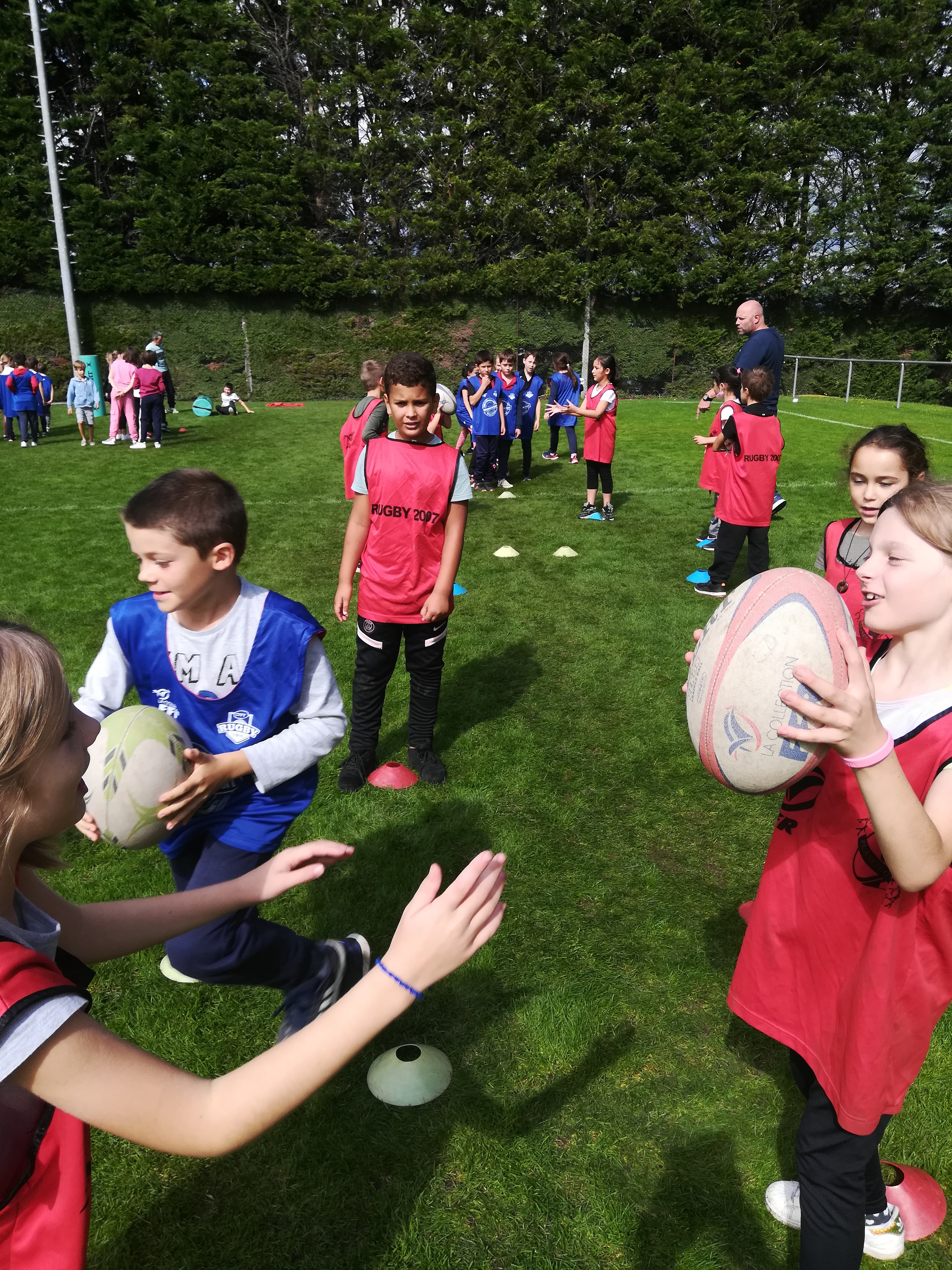 rugby