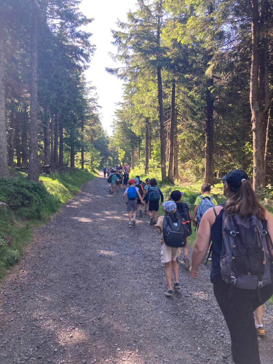 sortie ce1 juin 2025