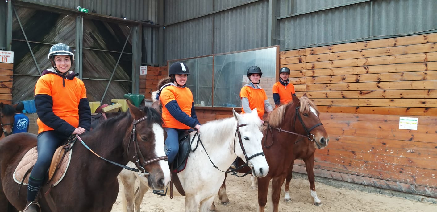 Equitation : bravo à nos Champions Académiques !